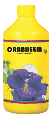 orabheem