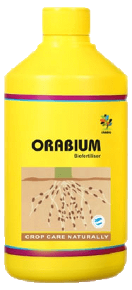 orabium