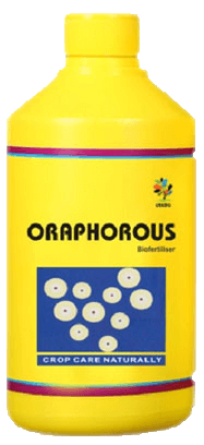 oraphorous