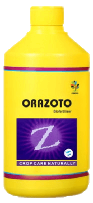 orazoto